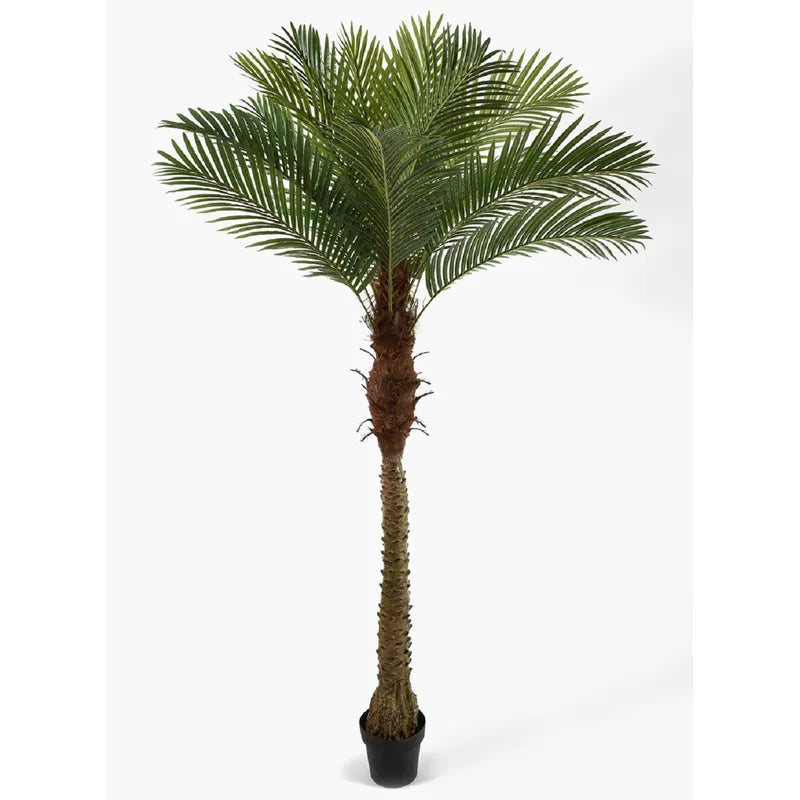 Faux California Palm Tree