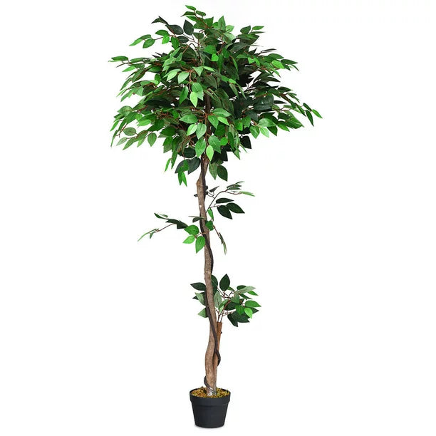 Faux Ficus Benjamina