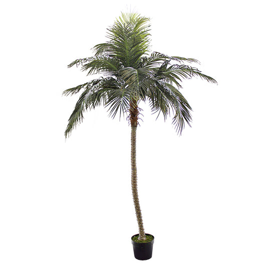 Faux Slim Palm Tree