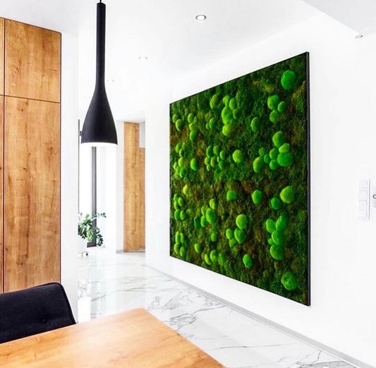 Moss Art Wall (Real Preserved)