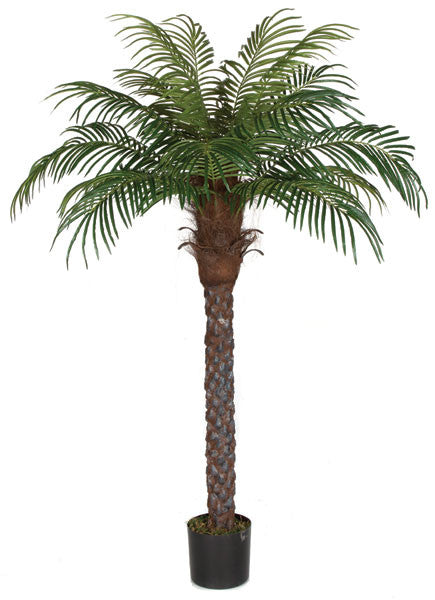 Faux Grand California Palm Tree