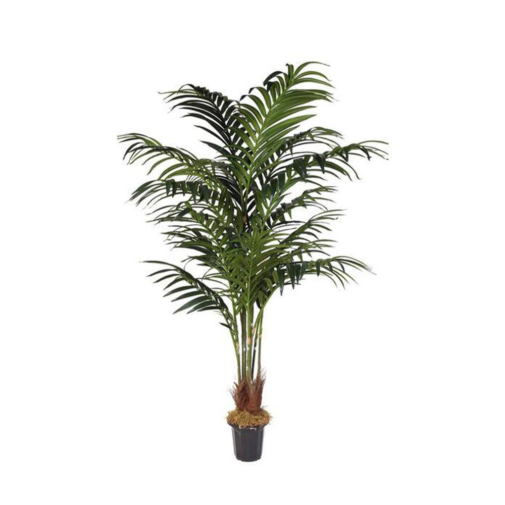 Faux Artificial Kentia Palm